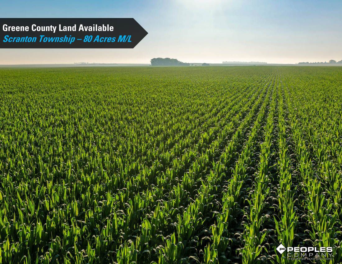 Listing Photo: Greene-County-Land-Available-Scranton-Iowa-80-Acres-19663 (10)